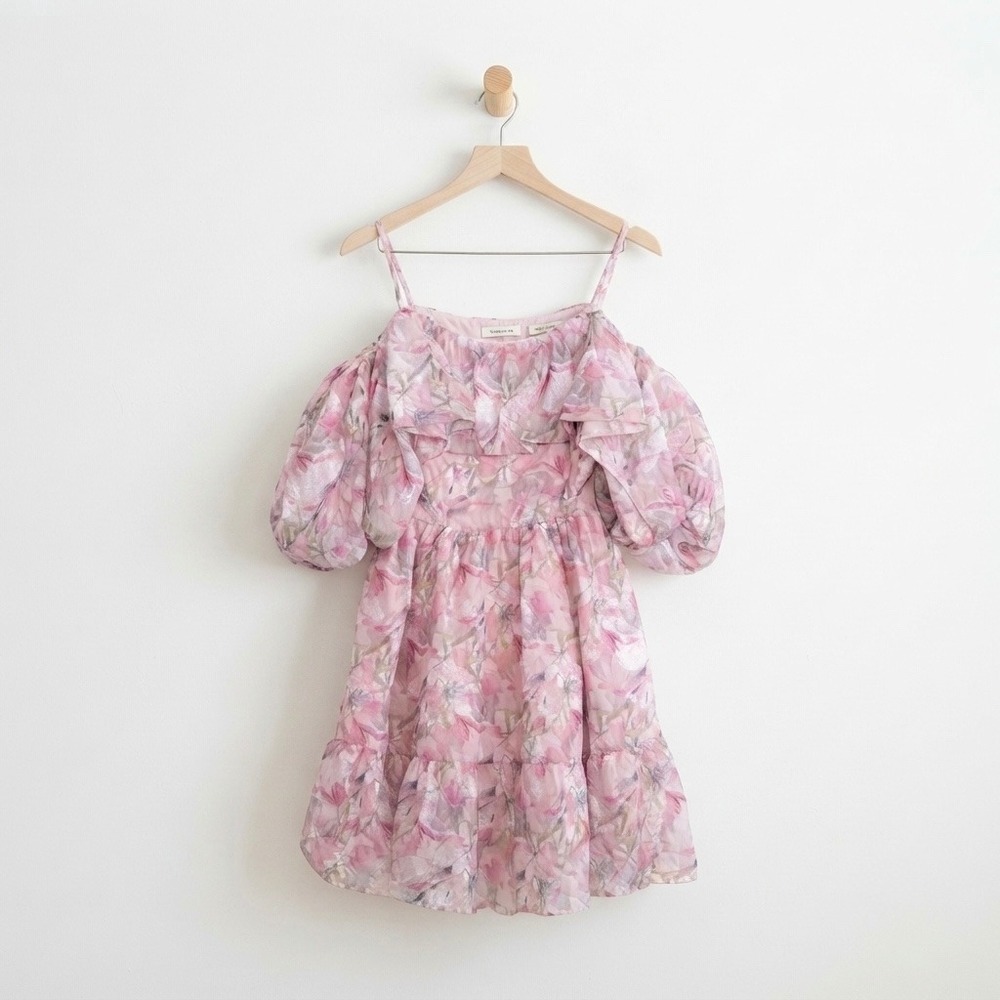 LUSH Cottagecore Pink Floral Chiffon Puff Sleeve Babydoll Dress Small Coquette